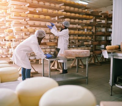 cheese-production-supply