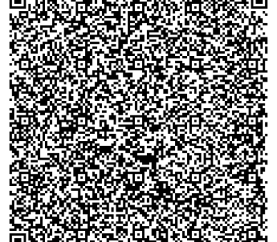 qr_review_anas_beauty_corner-3