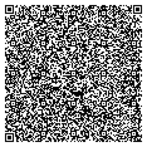 qr_review_anas_beauty_corner-4